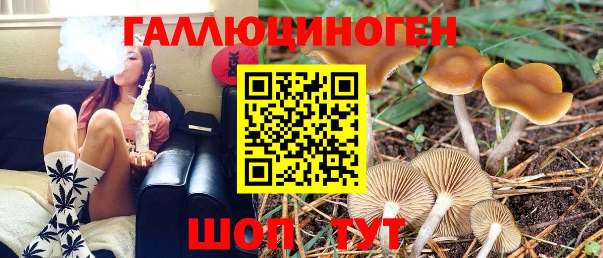 купить  сайты  Вход с VPN  Бугуруслан  Галлюциногенные грибы GOLDEN TEACHER 