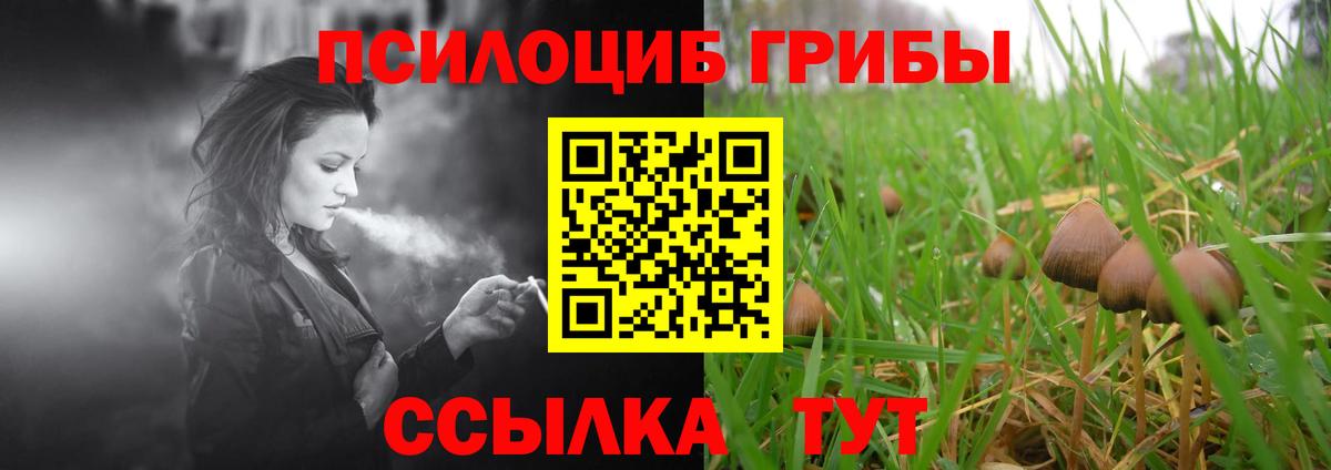 Галлюциногенные грибы GOLDEN TEACHER Бугуруслан